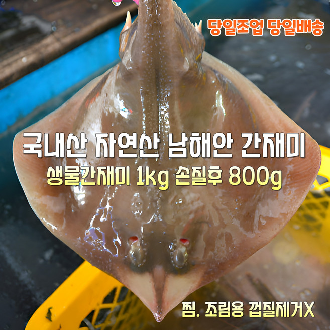 [산지직송] 국내산 자연산 통영 새벽조업 생물간재미 1kg 1~3미(원물). 생물간재미 1kg 1~3미(기본손질 800g). 생물간재미 1kg 1~3미(껍질제거 550g), 1박스, 새벽조업 생물간재미 1kg1~3미 기본손질800g  찜
