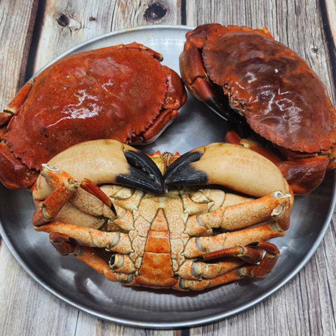 자숙 브라운 크랩 던지니스 크랩 1미 1kg, 1개