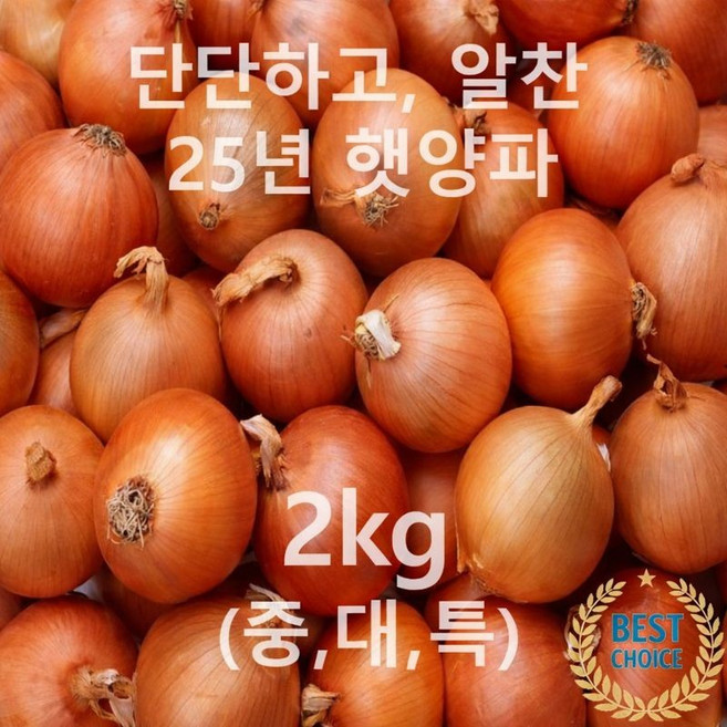 [타임특가 15%] 완전 신선하고 단단한 양파 선별 배송, 1박스, 국내산 양파 2kg 특(200g이상)