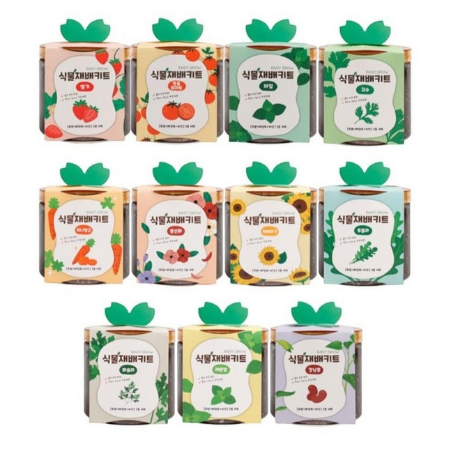 식물 재배 키트 식물키우기 배양토 투명 화분 식물재배키트, 2통, 바질