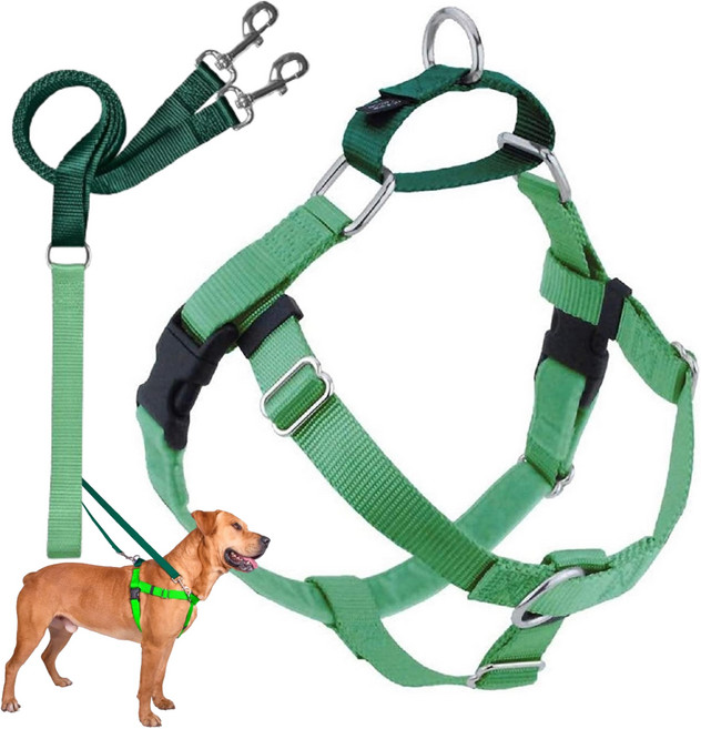 2 Hounds Design Freedom No Pull Dog Harness Adjustable Harness and Leash Set Easy Walking & Com, 1개, 네온 그린