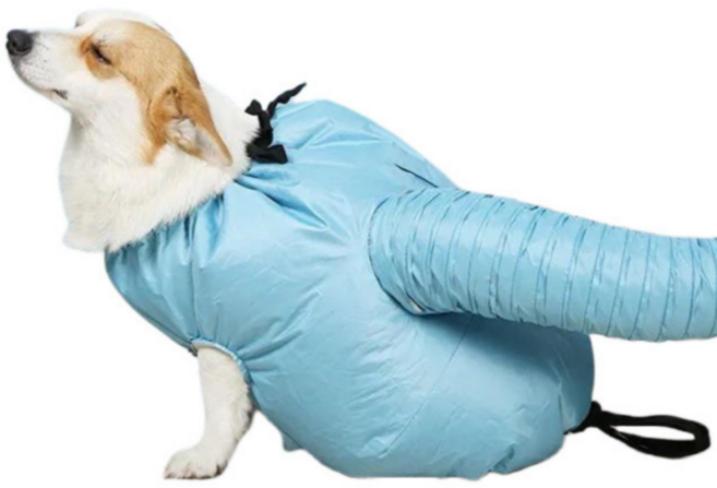 슈프렌 반려동물 털 건조 퀵 드라이 백 핸즈프리 펫 슈트, 1개, 블루