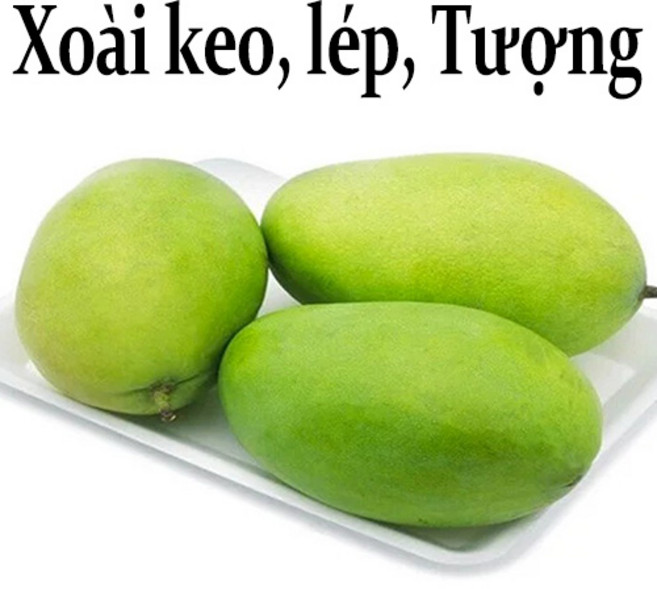 Thomy 베트남 그린망고 코끼리(1과) 베이비(3-4과) 께오(3-4과) 1KG 최고품질(Keo lep Tuong), 1박스, 다일론(코끼리) 700-800g