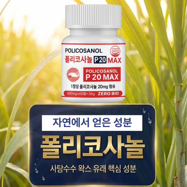 폴리코사놀 P20MAX 20mg 식약청인증 HACCP, 1개, 60정