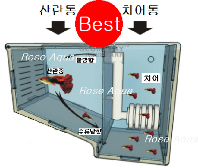 [아쿠아공구몰] 치어통 프로박스 구피치어통 부화통 ProBox-3 구피 안시 코리 베타 열대어, 4.걸이식, 1개