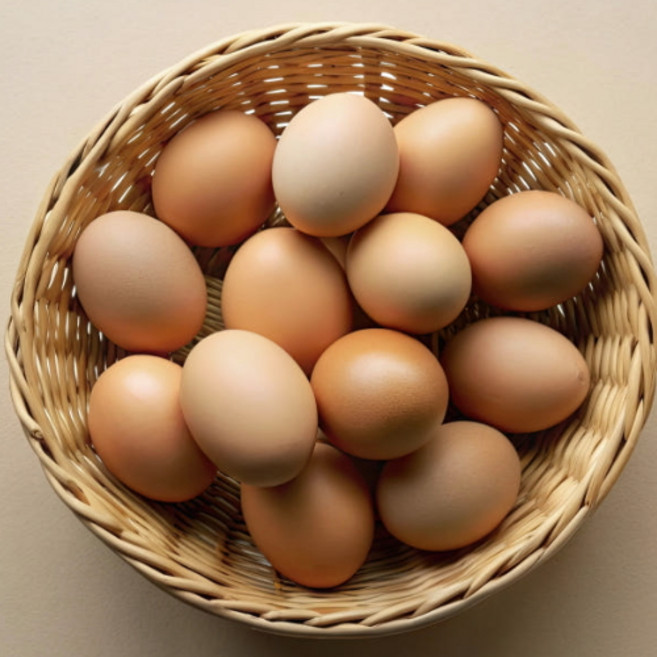 난각번호1번 방목 유정란 대란 계란 달걀, 1개, 20구