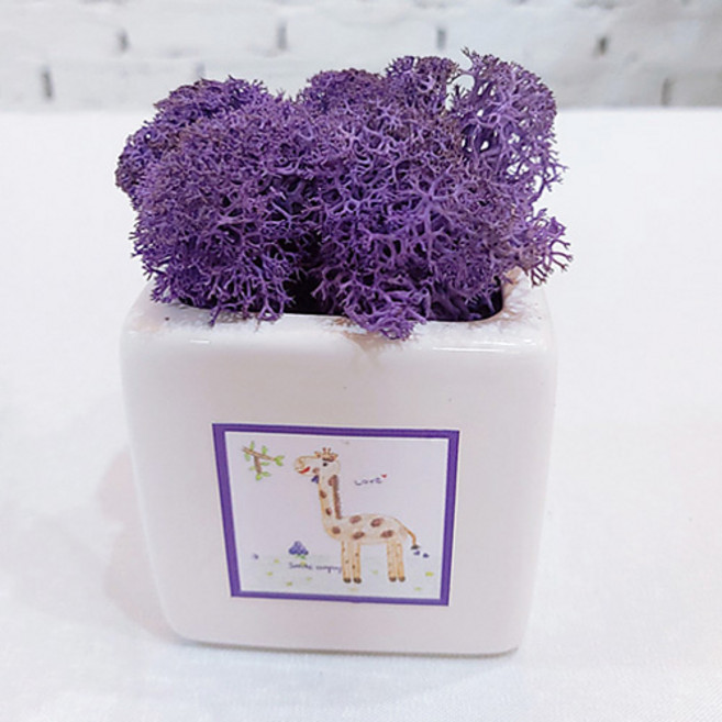 스칸디아모스 천연이끼 공기정화 큐브 모스, 손그림 큐브 화이트 모스-퍼플, 1개