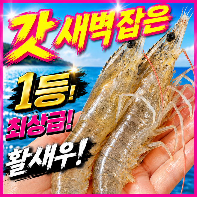 [프리미엄1%등급] 횟감새우 국내산 생새우 활새우, 1박스, 1kg