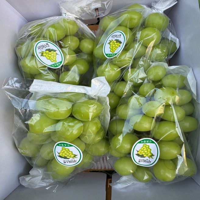 자연을담다 프리미엄 고당도 샤인머스켓, 1박스, 1kg (2수)