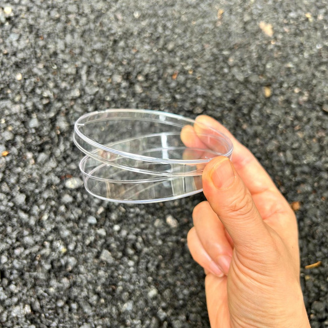 90mm 투명 원형 샬렛 플라스틱 샬레, 10개