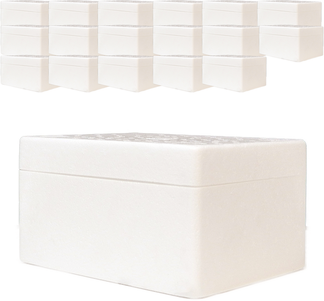 바인어스 아이스박스 냉동식품 택배 스티로폼박스 1호 2kg, 20개