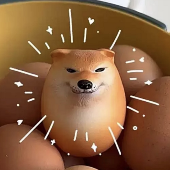 시바견계란 시바달걀 웃긴선물 딱딱이
