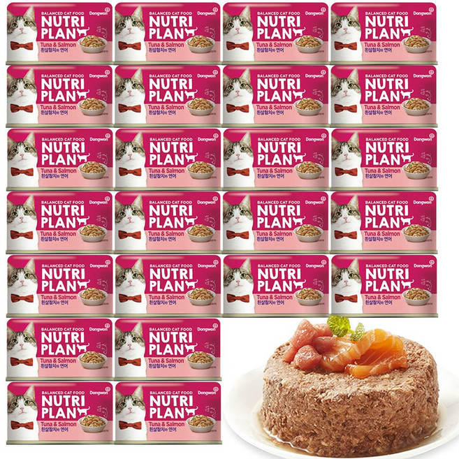 동원뉴트리플랜 고양이 간식 습식캔, 혼합맛(흰살참치/연어), 160g, 24개