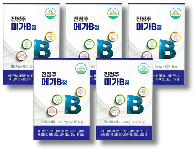 진정주 메가B 60정 1박스 활력증진 비타민B 성장기 학생 수험생 에너지, 5박스