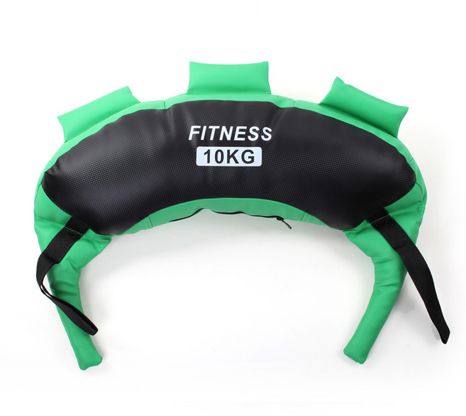 정수생활건강 불가리안백 신형 지퍼식 파워백 홈트레이닝 5~20 kg, 10kg