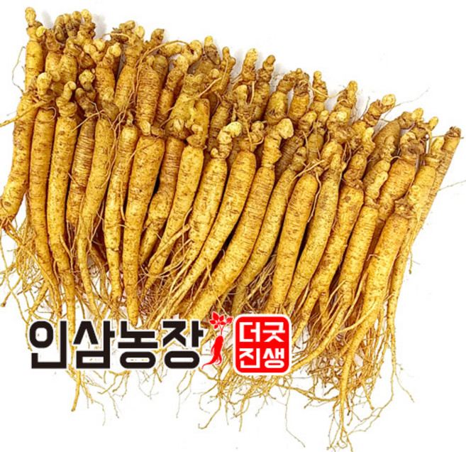더굿진생 인삼 수삼 금산인삼 삼계삼 350g, 1개, (세척안함)식당알뜰형350g(40~50뿌리