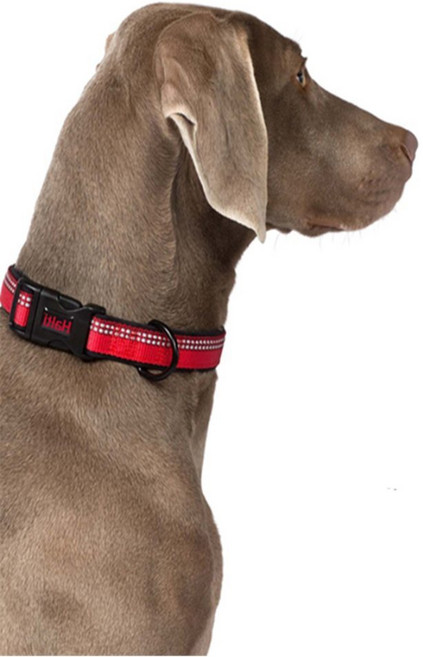 하나스마트 반려견 산책 컬러목줄 강아지훈련용목줄 반려견컬러목줄, S 블루색