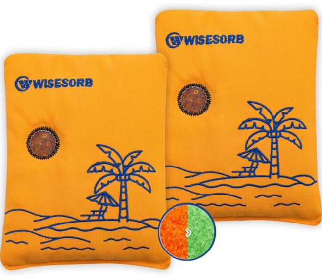 보관용 Wisesorb 100gx5pcs 충전식 제습제 팩 재사용 가능한 백 안전한 옷장 3D 필라멘트 전자 카메라를 위한 실리카 젤 패킷 수분 흡수제 표시 색상, 500 Gram, 2 PACK