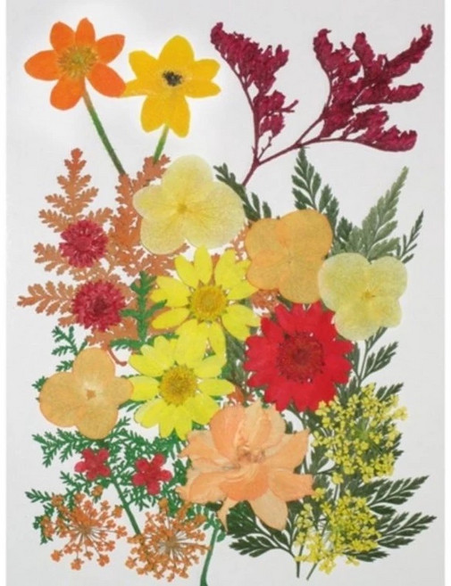 藝采手作 押花花材綜合包 壓花浮游花香氛蠟磚美甲乾燥花材 約25片, 黃色系