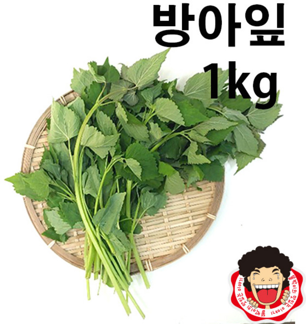 똘박이 방아잎(1kg), 1kg, 1개