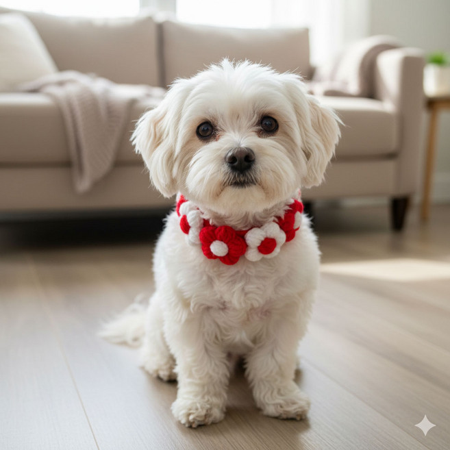 하니펫 반려동물 귀요미스카프 단추 뜨게꽃레이스, 1개, 빨강