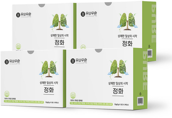 유비무환 정화 목 관리 인동 맥문동 약도라지 구기자 녹차 전통원료 환, 75g, 4개