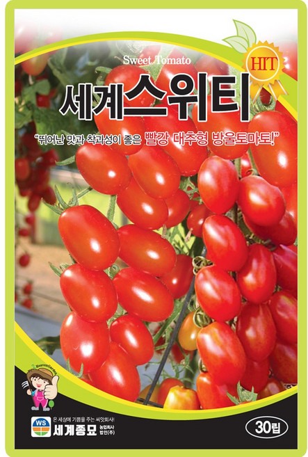 세계종묘 세계스위티 방울토마토 씨앗 30립 대추 방울토마토씨 종자, 1개