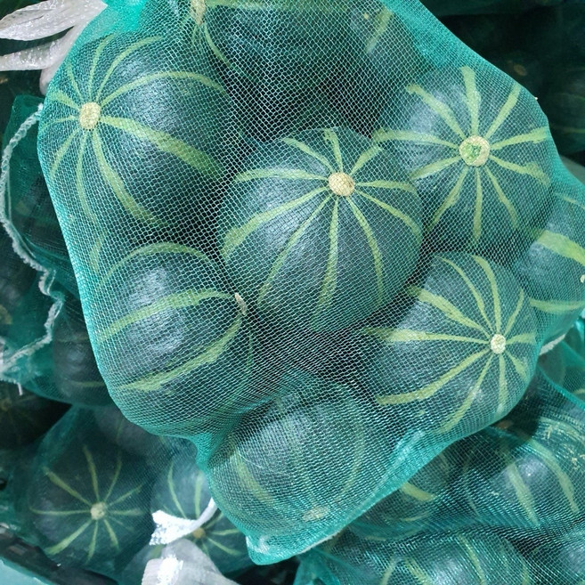 해남 미니 꿀 밤호박 10개 내외, 1개, 2kg