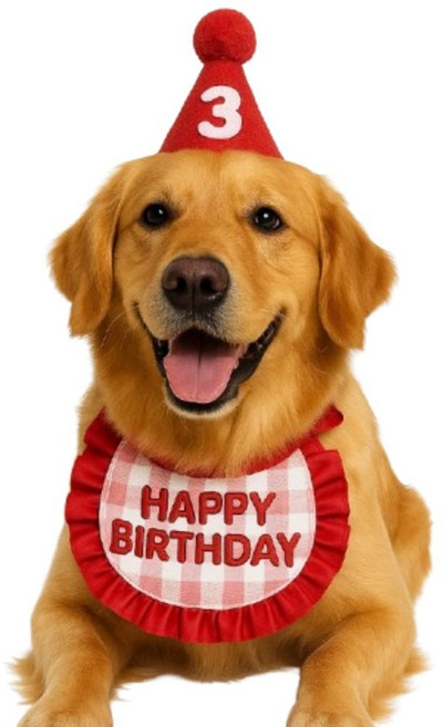 강아지 고양이 생일 파티 용품 돌잔치 모자 턱받이 스카프 악세사리, 1세트, 프릴 레드