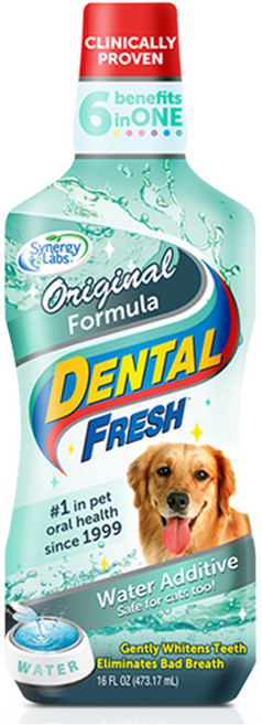 시너지랩 독 덴탈 후레쉬 503ml(물에 섞어주는 치약), 503ml, 1개, 오리지널