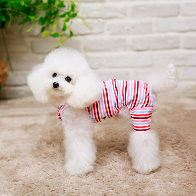 [펫디자인] 캔디 끈나시 올인원 강아지옷, 핑크, 1개