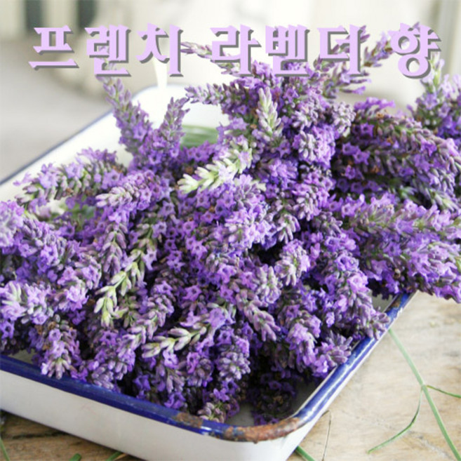 올댓허브 프렌치라벤더향 프래그런스오일, 50ml-9900원, 1개