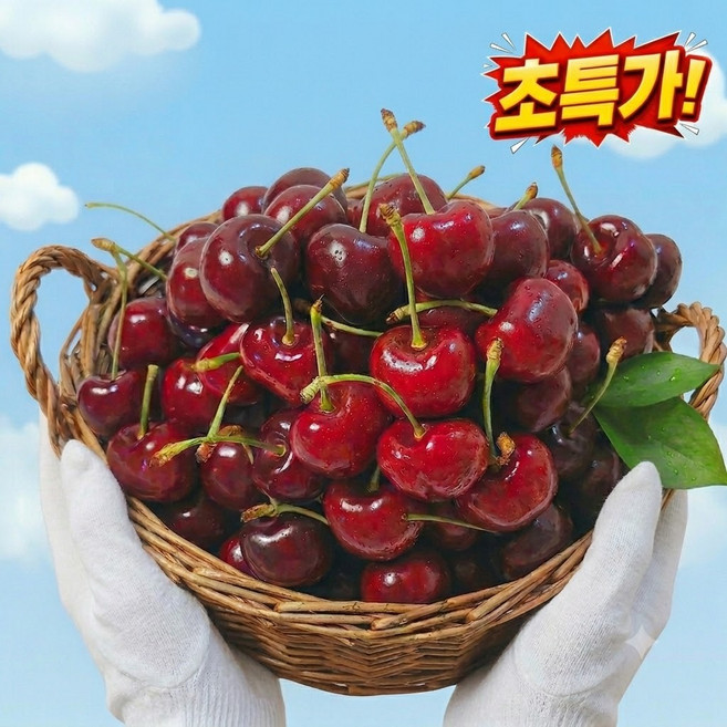 (특가구매)고당도 체리 체리 프리미엄체리 생체리, 1개, 250g (대)