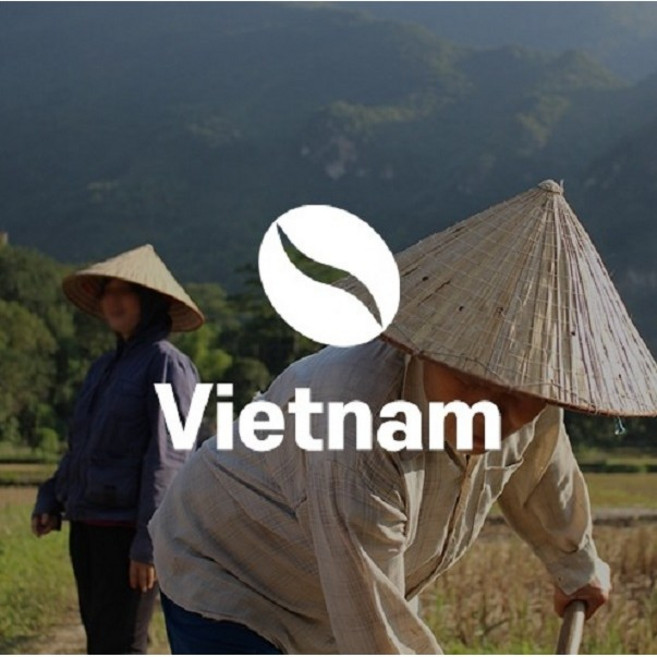 베트남 블루드래곤 로부스타 커피 생두 1kg Vietnam robusta blue dragon, 1개