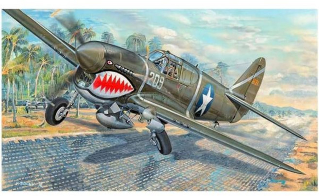 12344236 프라모델 헬리콥터 비행기 미니어처 모형 헬기 전투기 항공기 트럼펫터 1/32 미국 육군 항공대 P-40F 워호크 플라모델 03227