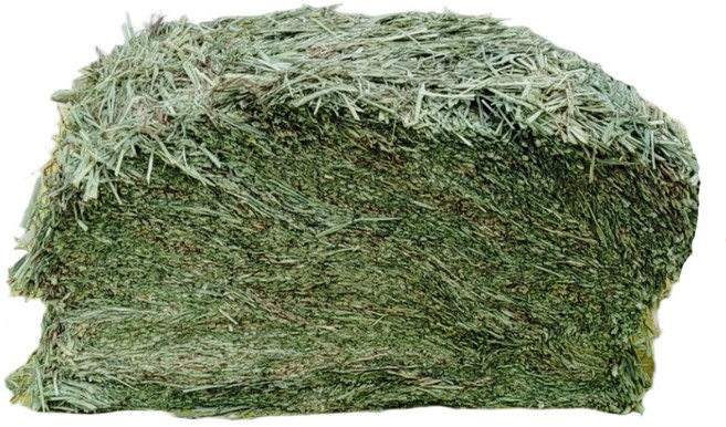 대용량 프리미엄 티모시건초, 1개, 5kg