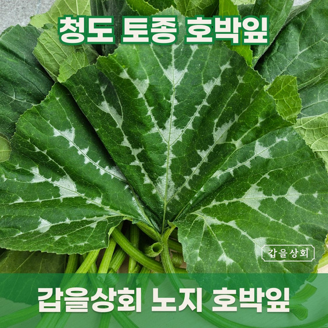 [갑을상회] 국내산 토종 호박잎 노지 호박잎, 1개, 400g