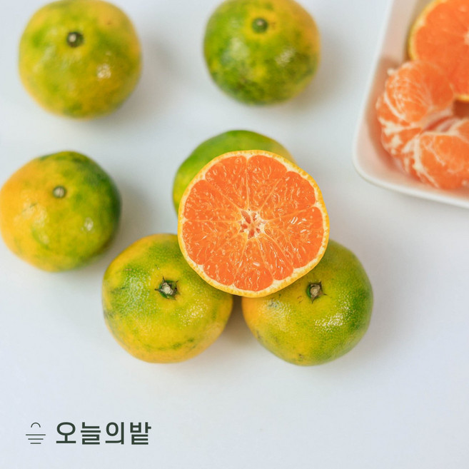 [2026 첫 수확] 극 조생감귤 조생감귤 제주감귤 3키로 5키로 10키로(박스포함), 1박스, 소과 5kg