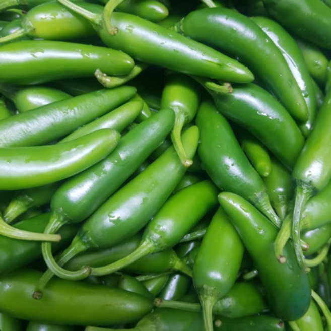 국산 모닝고추 아삭이고추 못난이 모닝 고추, 1kg, 1개