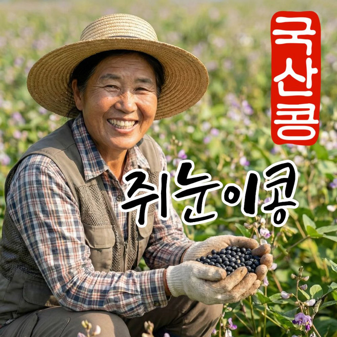 더맛곳간 국산 쥐눈이콩 약콩 서목태 검정콩 검은콩, 1개, 1kg