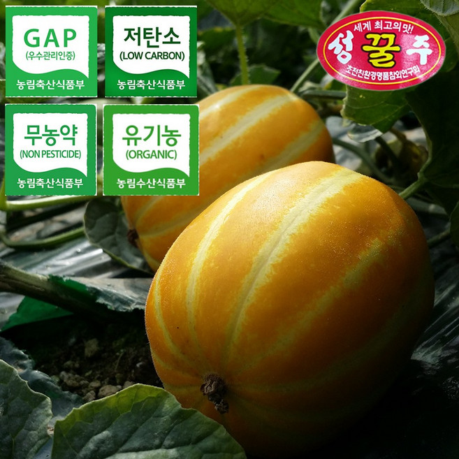씨 부드럽게 넘어가는 꿀 성주참외, 1박스, GAP,저탄소_3kg 가정용A급 로얄과