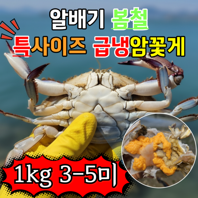 [서해안 봄 제철 조업] 국내산 급냉 암꽃게, 1개, 5kg