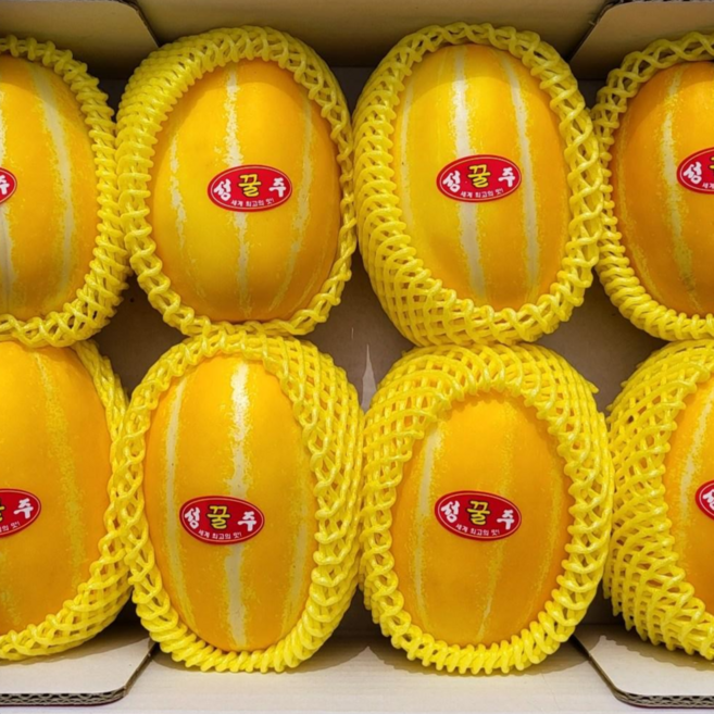 [성주꿀참외] 초특가 아삭하고 달콤한 성주 햇 참외, 1박스, 참외 가정용 3kg 혼합과