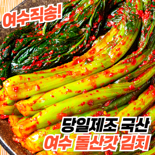 [여수돌산직송] 당일생산 전라도 여수 돌산 갓김치, 3kg, 1개