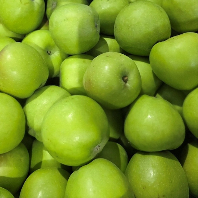 아오리 썸머킹 썸머프린스 청사과 가정용 5kg 소과