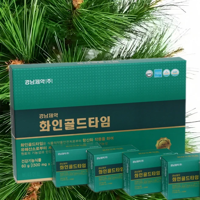 경남제약 (주) 화인골드타임 송침유 500mg 120캡슐, 5개 - 쿠팡
