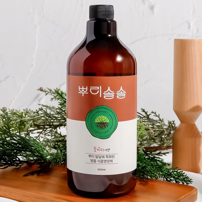 꽃피우는시간 뿌리솔솔 식물영양제 관솔농축액, 1개, 1L - 쿠팡