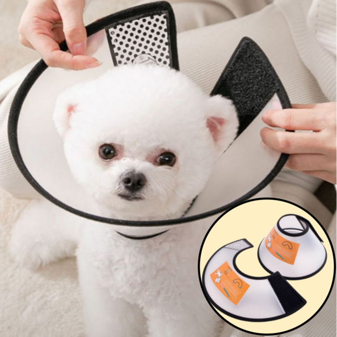 위드앤미 강아지 고양이 넥카라 중성화 보호 깔대기, 1개, 반투명 블랙