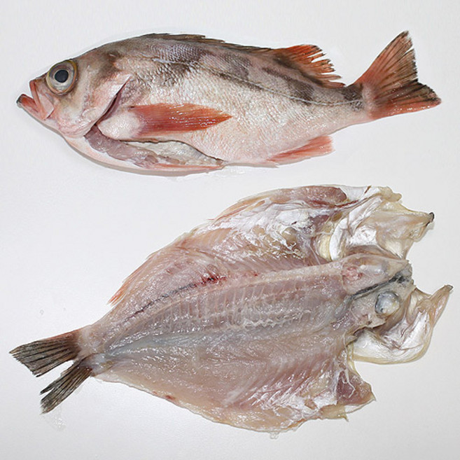 볼락 제주도 자연산 볼락 뽈락 손질 및 반건조, 1개, 250gX3