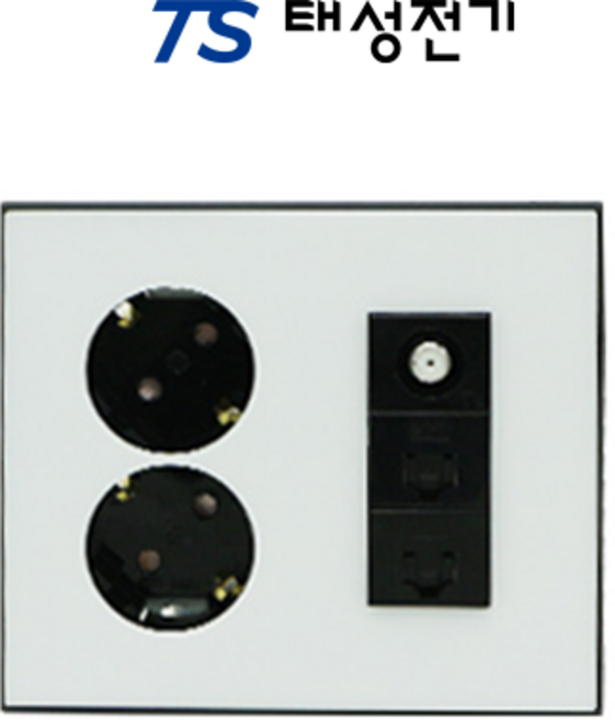태성전기 틸인스 블랙화이트 2구 콘센트+TV2방+8P 2구